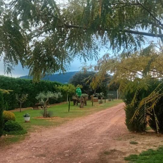 Finca Los Pajaros Cerca De Puy Du Fou Toledo Navahermosa  Exterior photo